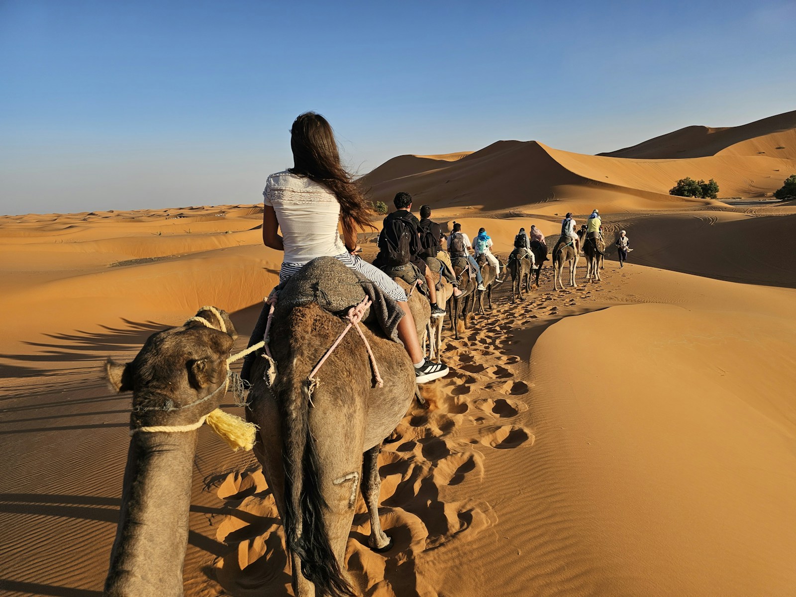 14 days Morocco tour from Casablanca