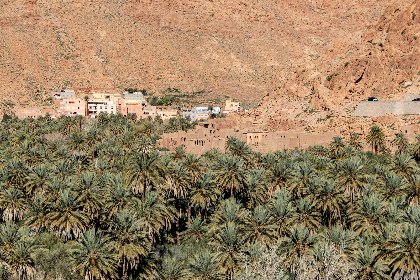12 days tour from Fes to Casablanca