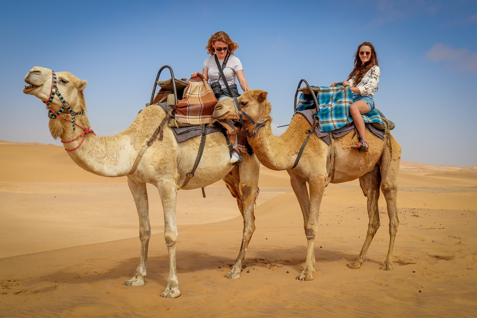 merzouga camel