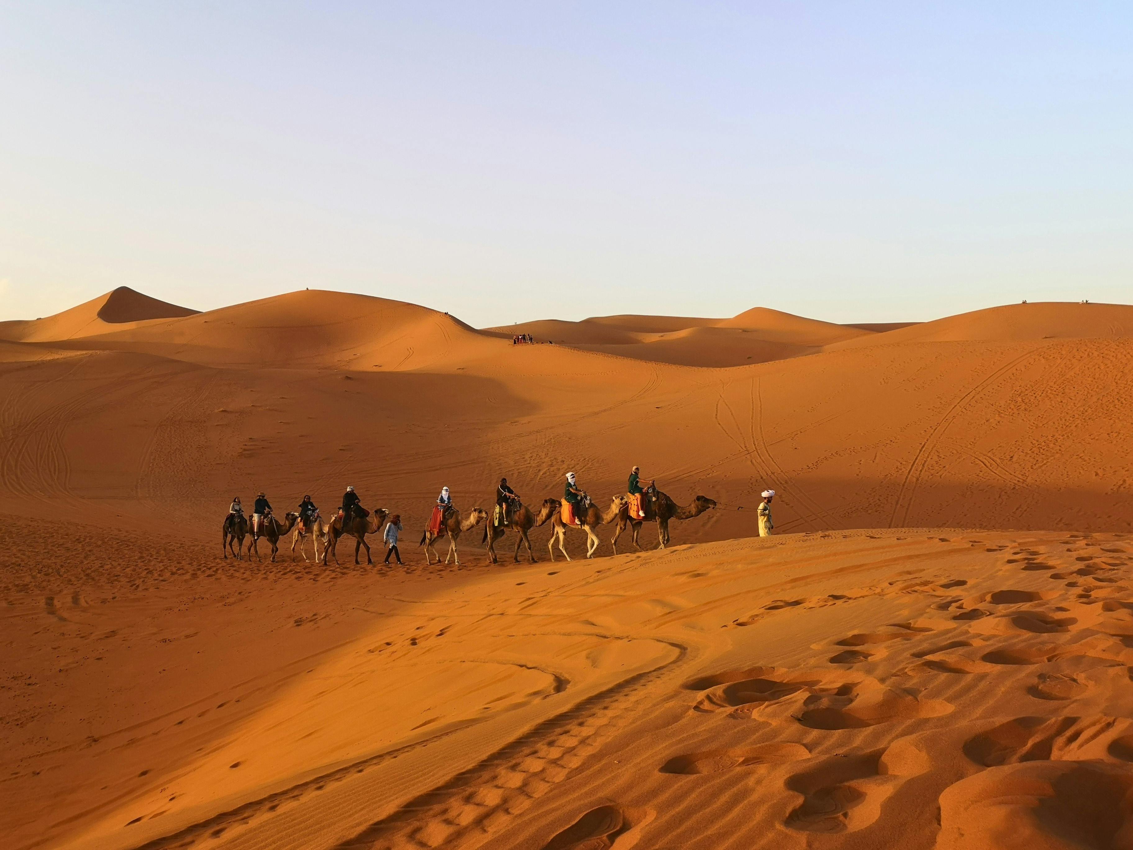 A group of people riding camels across the vast dunes of the Sahara Desert during sunset.