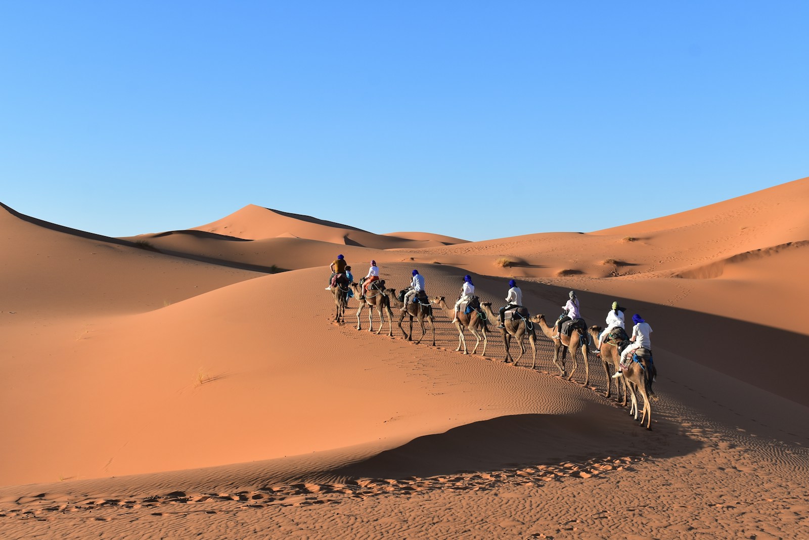 13 days from Casablanca to desert