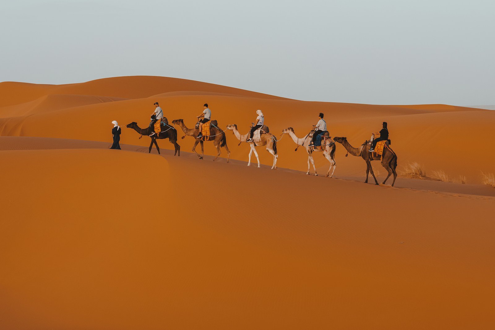 8 Days Morocco Desert Tour Marrakech to Fes